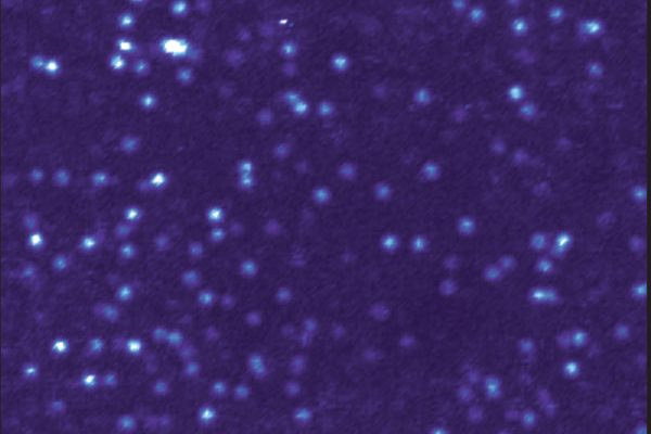 small white dots, representing single atom defects, are visible in a dark purplish background that is from a diamond